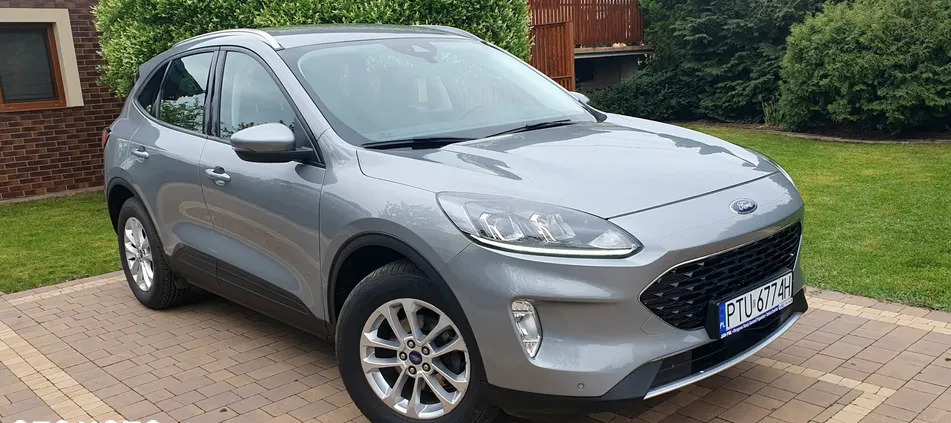 ford kuga warmińsko-mazurskie Ford Kuga cena 108000 przebieg: 87784, rok produkcji 2021 z Sieraków